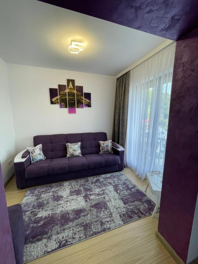 Bibis Apartments Nehoiu Exterior foto